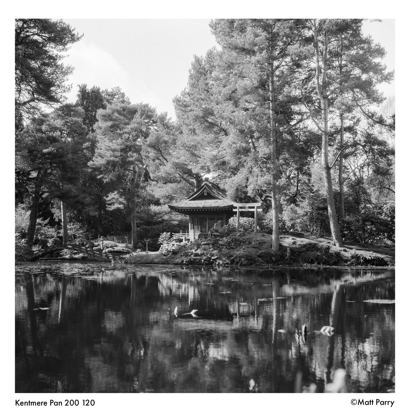 Kentmere 200 120 Film