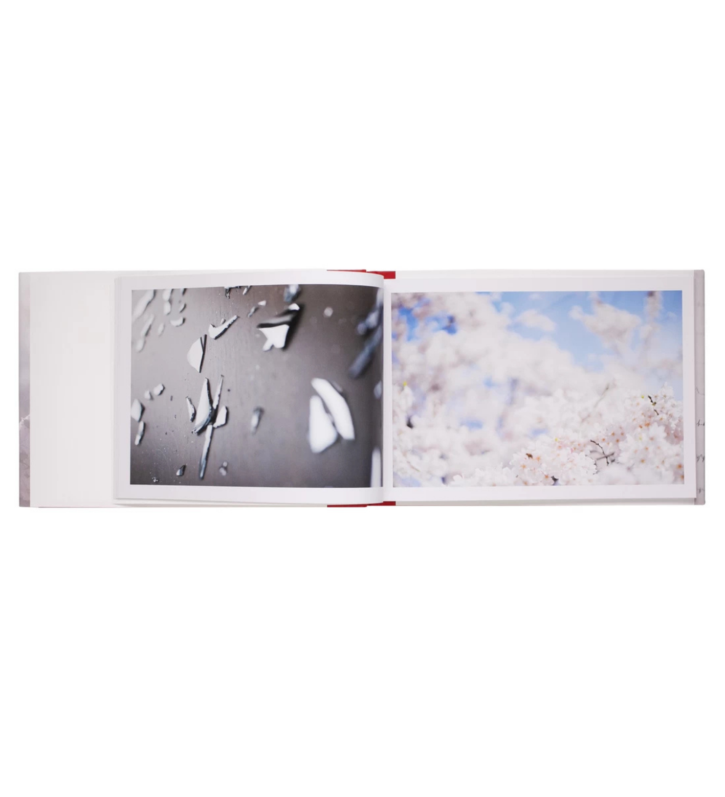 Ninagawa, Mika: The Days Were Beautiful