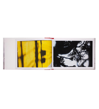 Ninagawa, Mika: The Days Were Beautiful