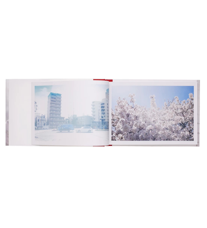 Ninagawa, Mika: The Days Were Beautiful
