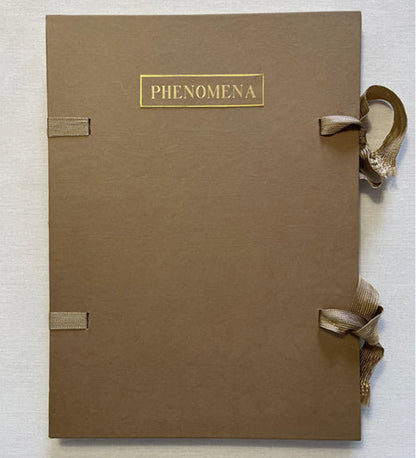 Morganna Magee: Phenomena (signed & numbered)