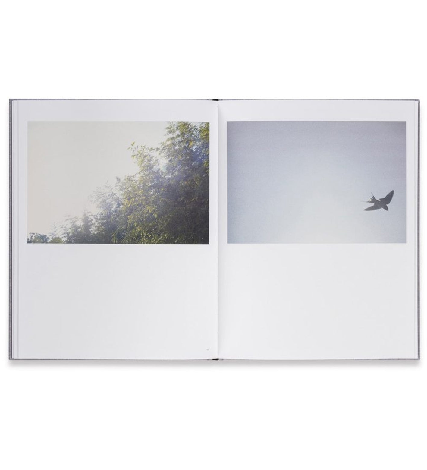 Rinko Kawauchi: Des Oiseaux (Signed in-store)