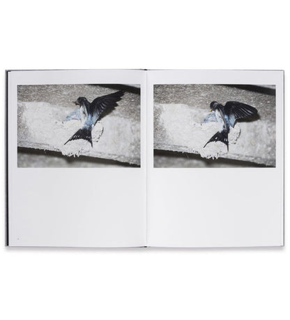 Rinko Kawauchi: Des Oiseaux (Signed in-store)