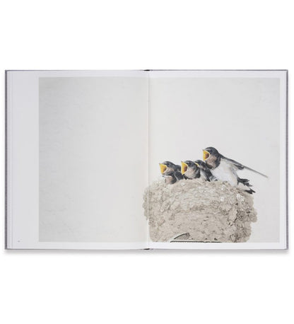 Rinko Kawauchi: Des Oiseaux (Signed in-store)