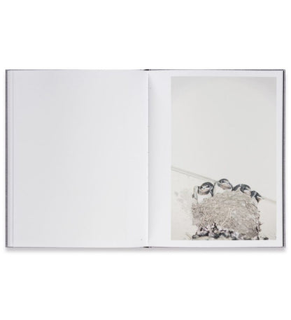 Rinko Kawauchi: Des Oiseaux (Signed in-store)