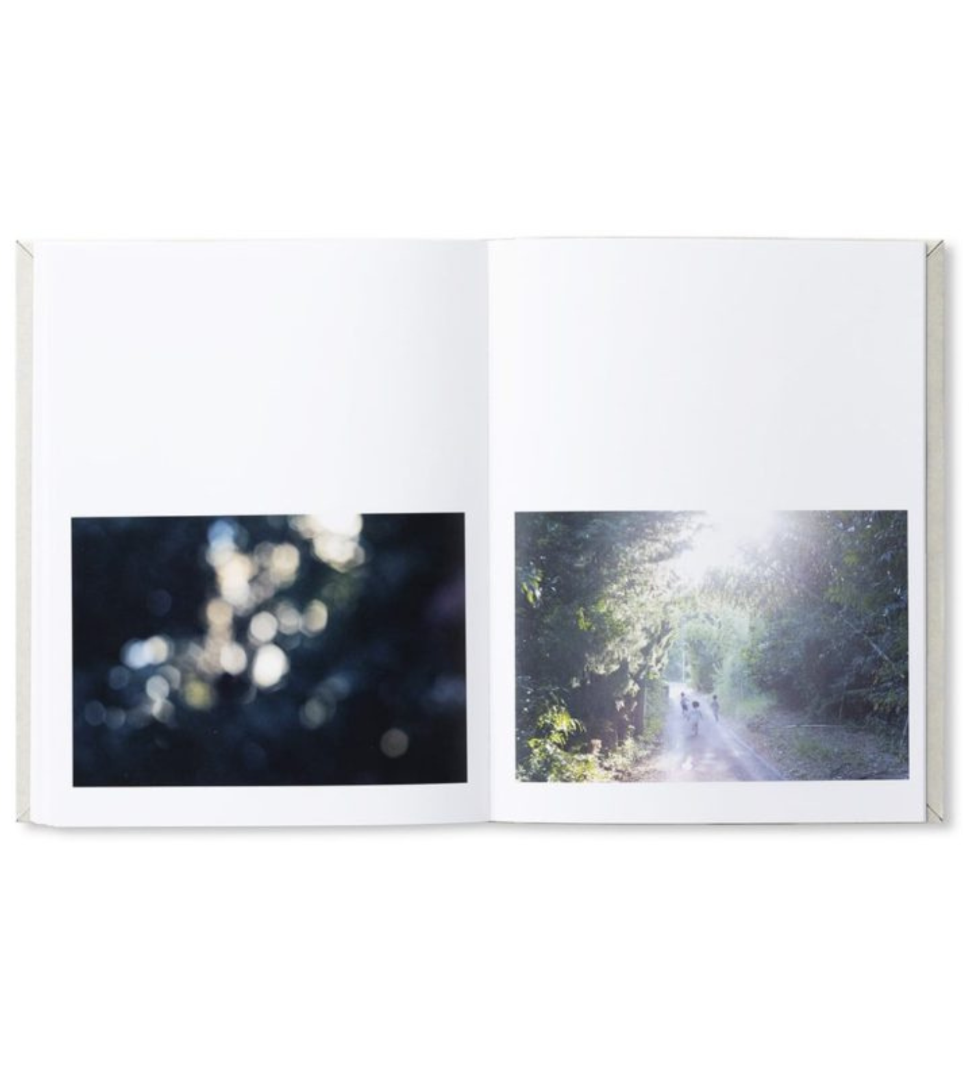 Kawauchi, Rinko: As It Is