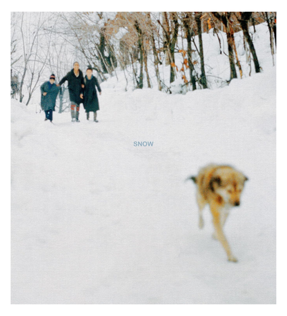 Hura, Sohrab: Snow