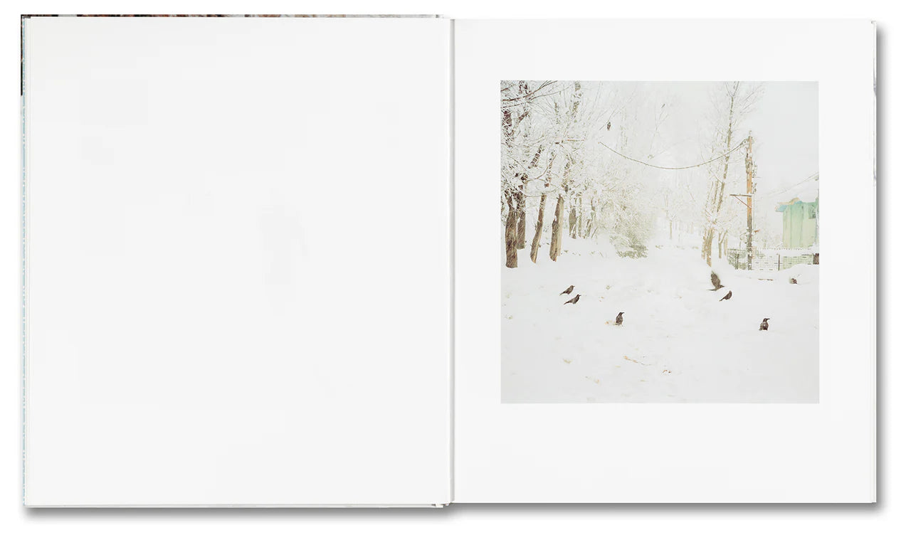 Hura, Sohrab: Snow