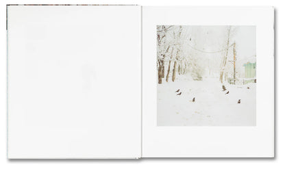 Hura, Sohrab: Snow