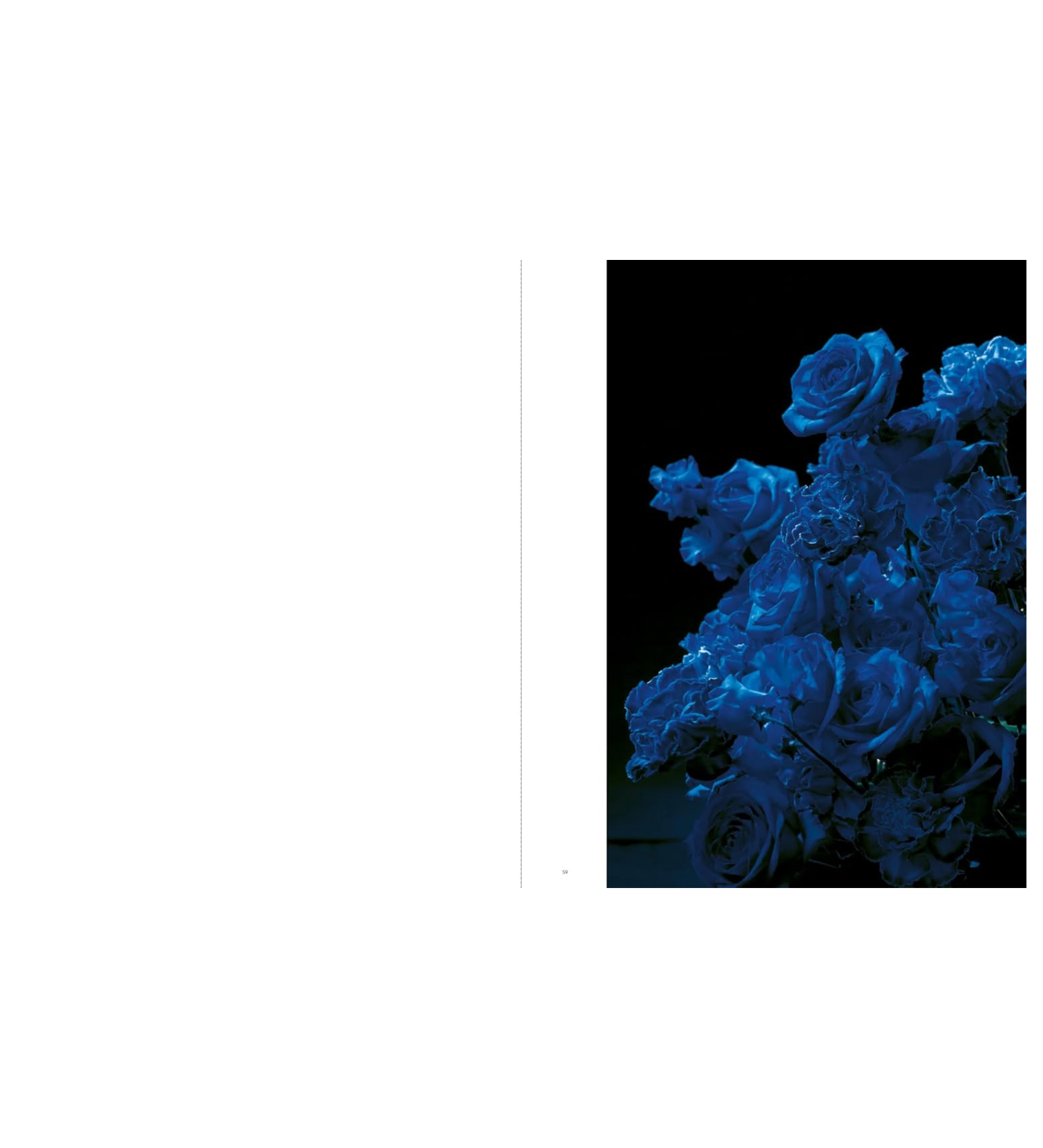 Nomura, Sakiko: Tender is the Night