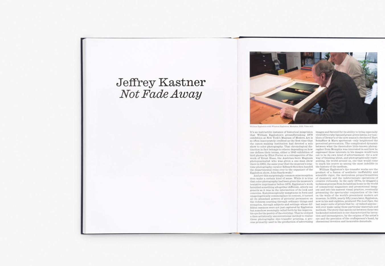 William Eggleston: The Last Dyes