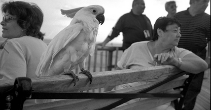 David Corio: New York City 1992–2007