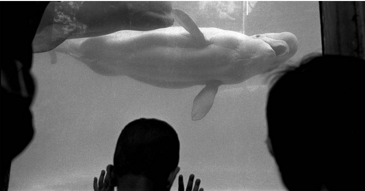 David Corio: New York City 1992–2007