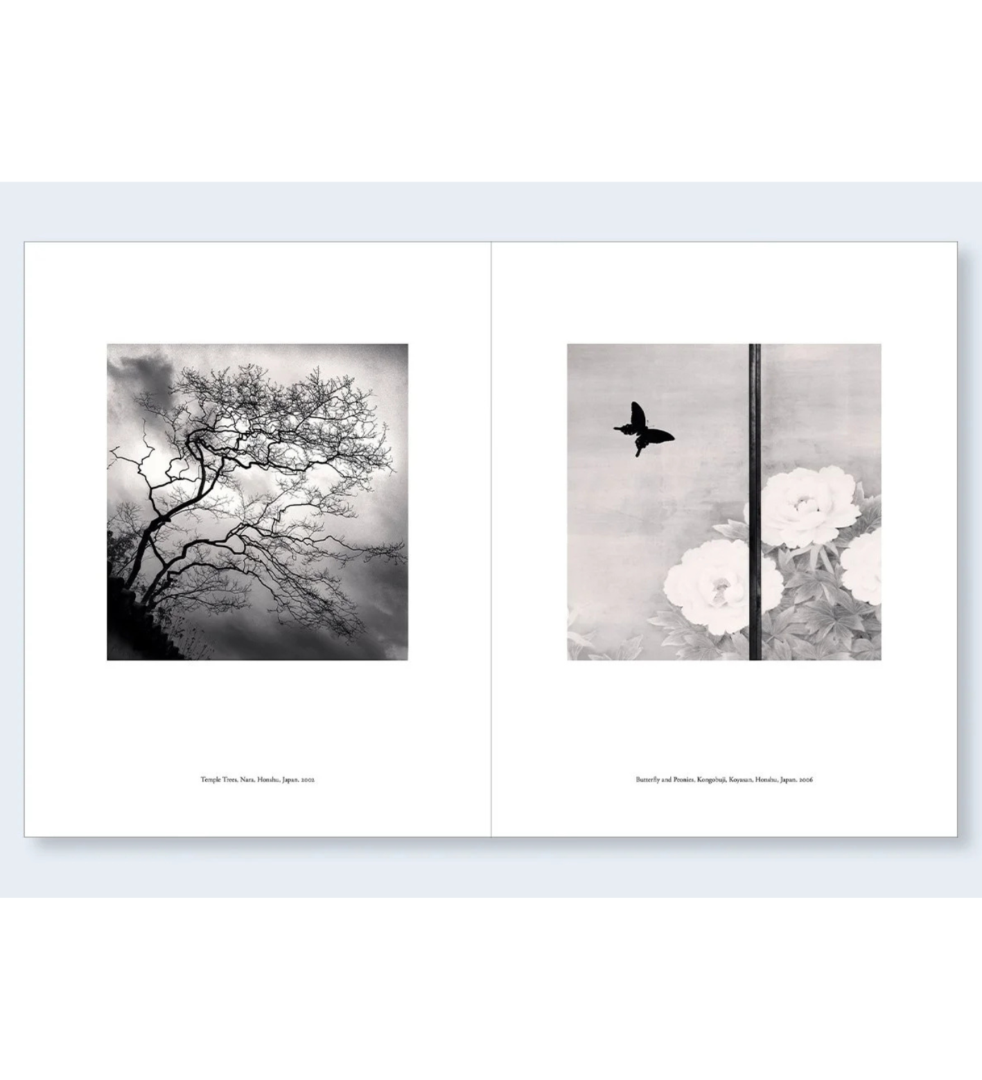 Michael Kenna: Japan | A Love Story (pre-order signed copies)