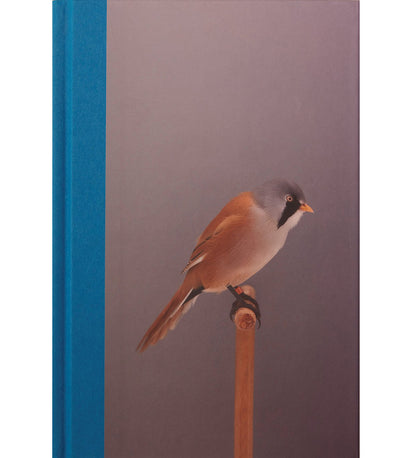 Luke Stephenson: An Incomplete Dictionary of Show Birds Vol. 2