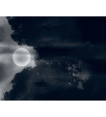 Nicholas Hughes: Uncertain Silence, Set of 8 Postcards (signed)