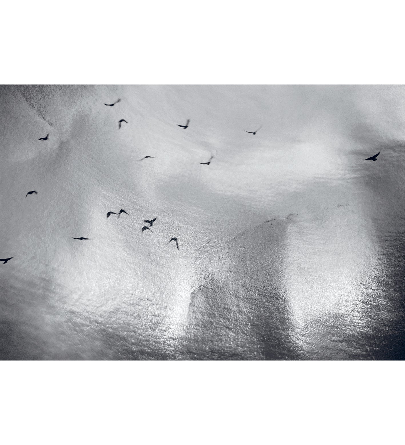 Nicholas Hughes: Uncertain Silence, Set of 8 Postcards (signed)