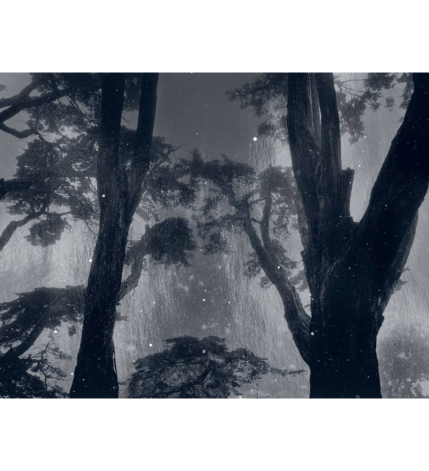 Nicholas Hughes: Uncertain Silence, Set of 8 Postcards (signed)