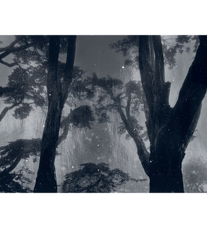 Nicholas Hughes: Uncertain Silence, Set of 8 Postcards (signed)