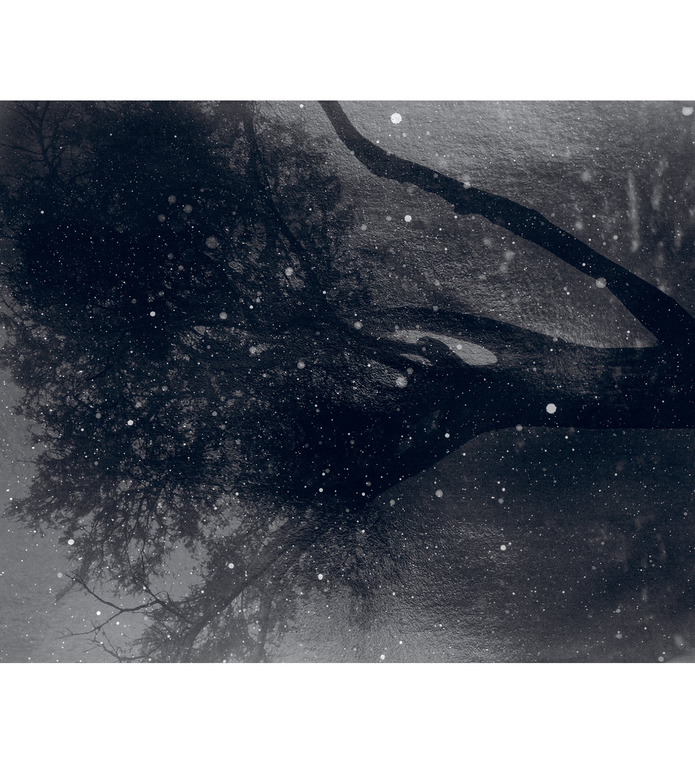 Nicholas Hughes: Uncertain Silence, Set of 8 Postcards (signed)