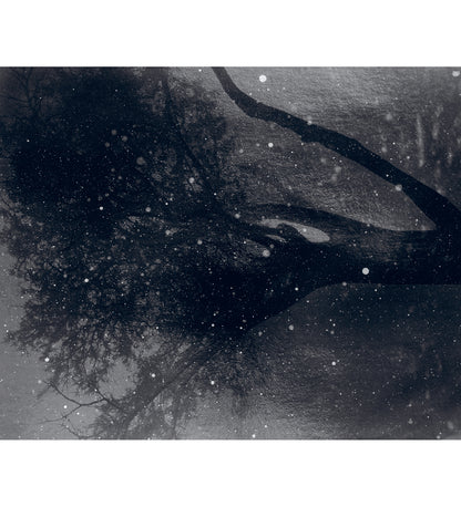 Nicholas Hughes: Uncertain Silence, Set of 8 Postcards (signed)