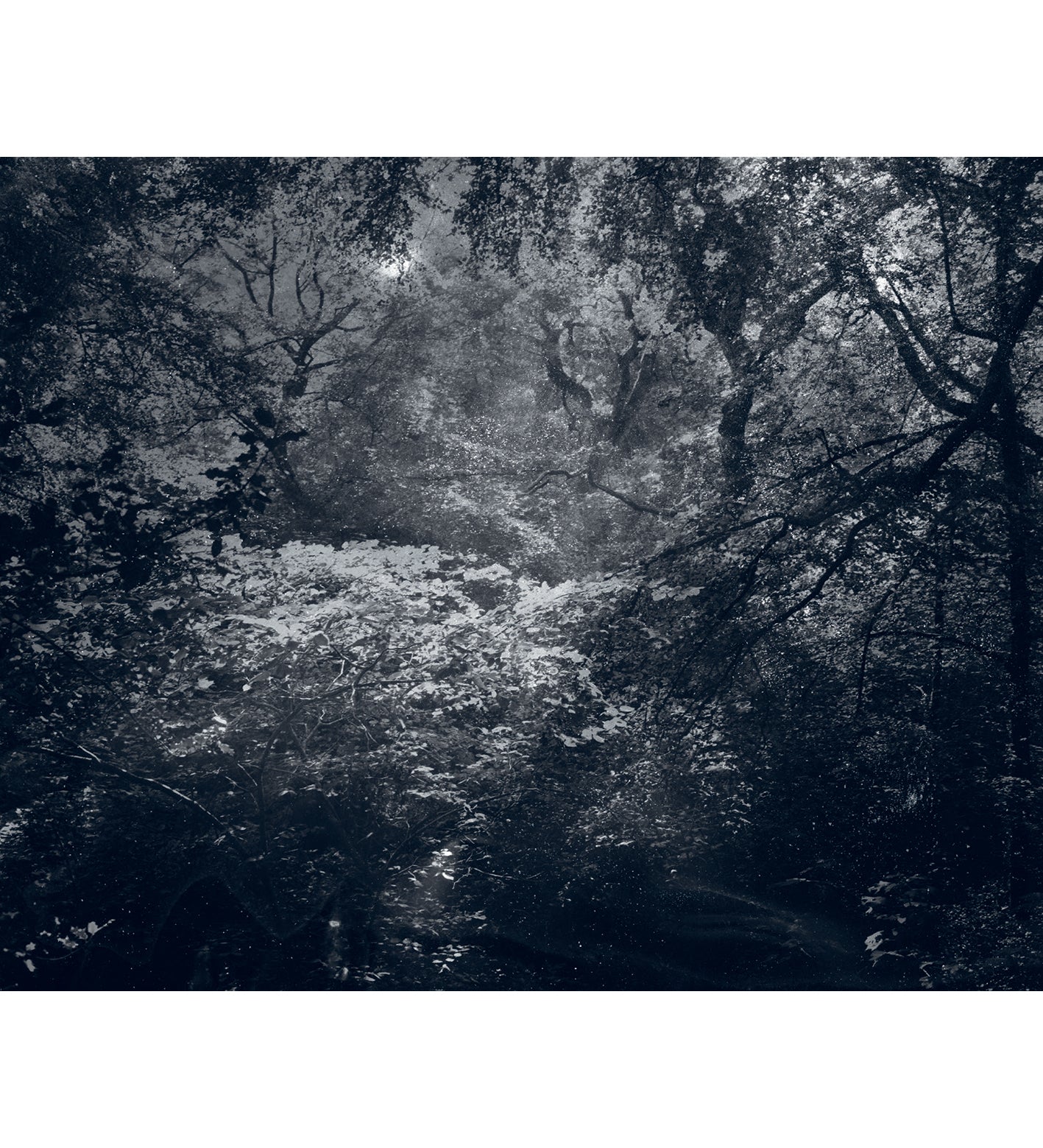 Nicholas Hughes: Uncertain Silence, Set of 8 Postcards (signed)