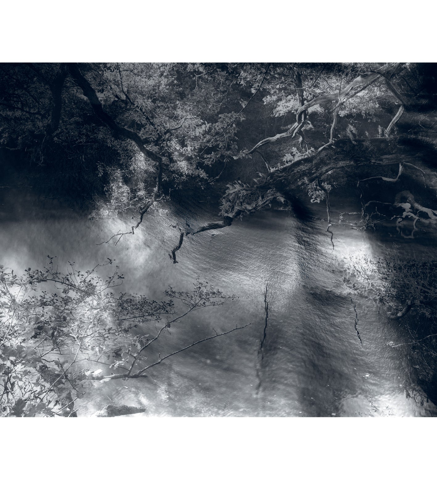 Nicholas Hughes: Uncertain Silence, Set of 8 Postcards (signed)