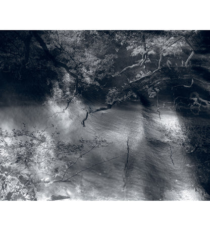 Nicholas Hughes: Uncertain Silence, Set of 8 Postcards (signed)