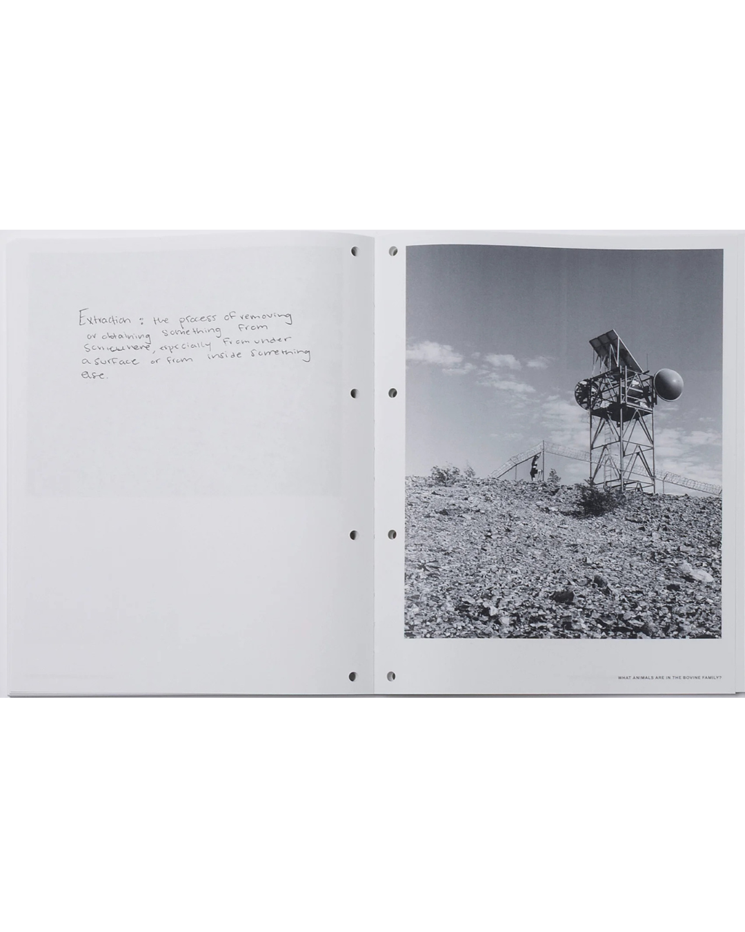 Samantha Jensen: Desert Notes