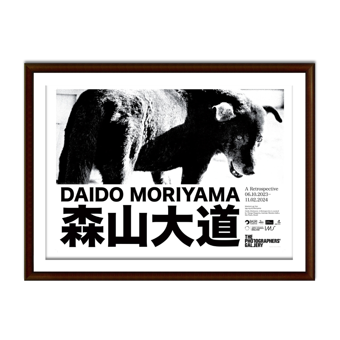 Daido Moriyama: Stray Dog Exhibition Poster A2