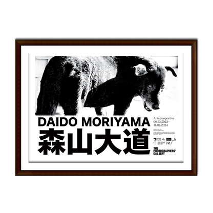 Daido Moriyama: Stray Dog Exhibition Poster A2