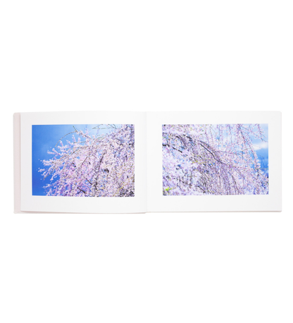 Mika Ninagawa: Vira (signed limited edition)