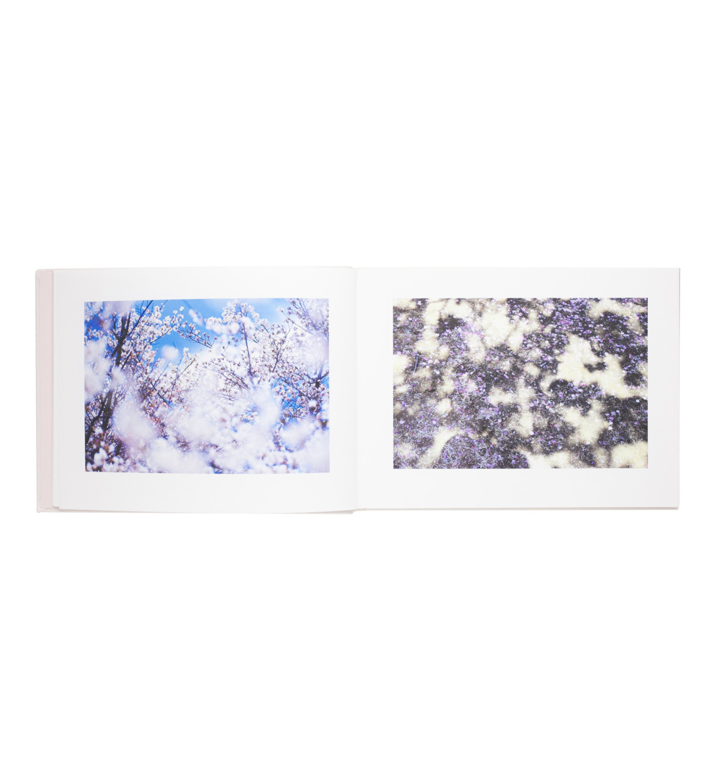 Mika Ninagawa: Vira (signed limited edition)