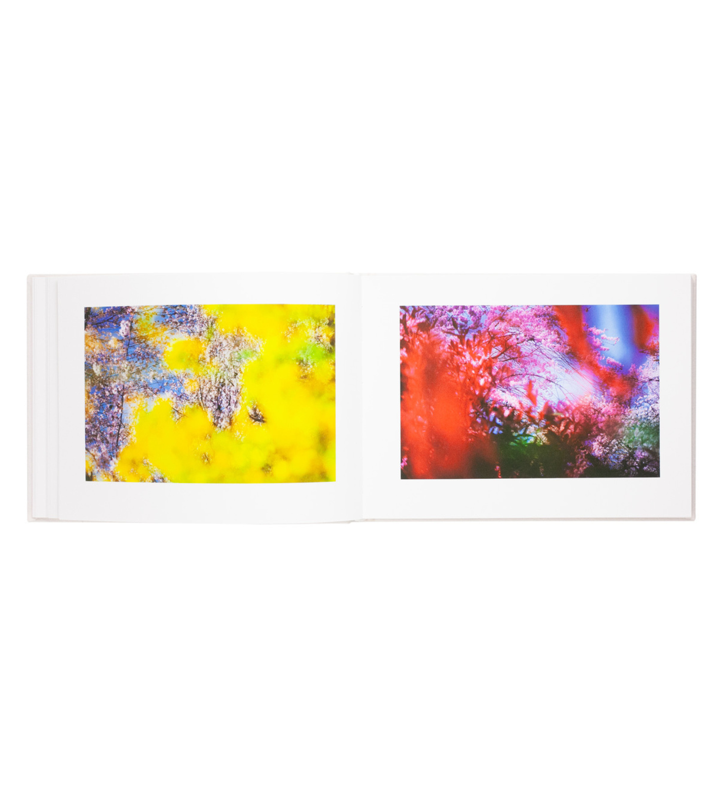 Mika Ninagawa: Vira (signed limited edition)