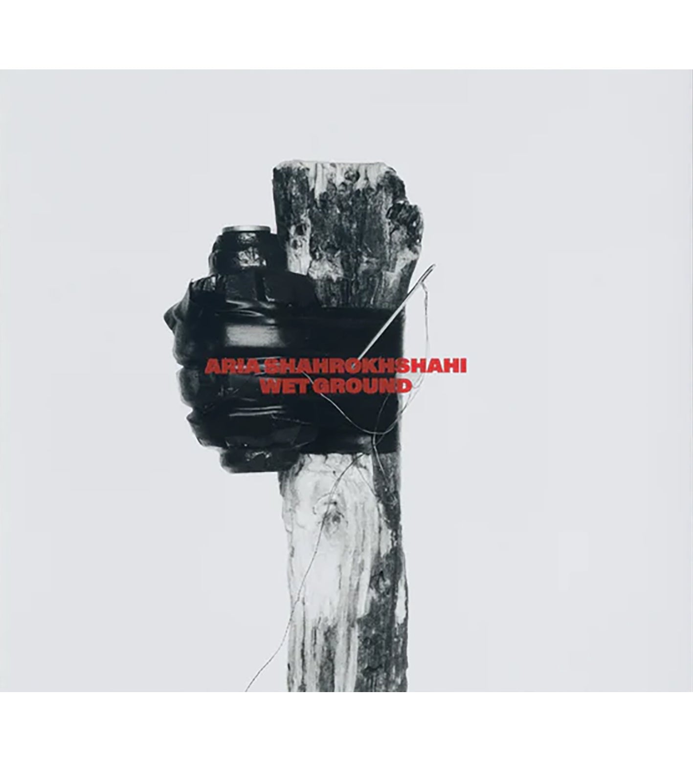 Aria Shahrokhshahi: Wet Ground (signed)