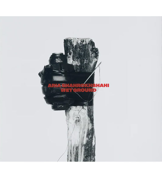 Aria Shahrokhshahi: Wet Ground (signed)