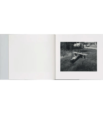 Aria Shahrokhshahi: Wet Ground (signed)
