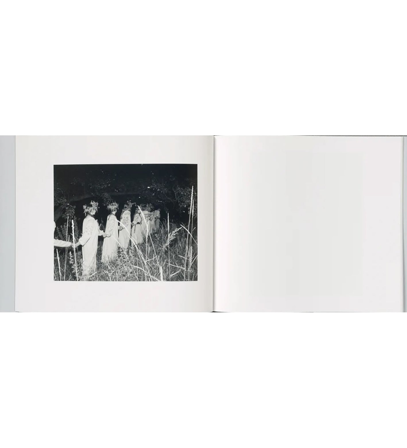 Aria Shahrokhshahi: Wet Ground (signed)