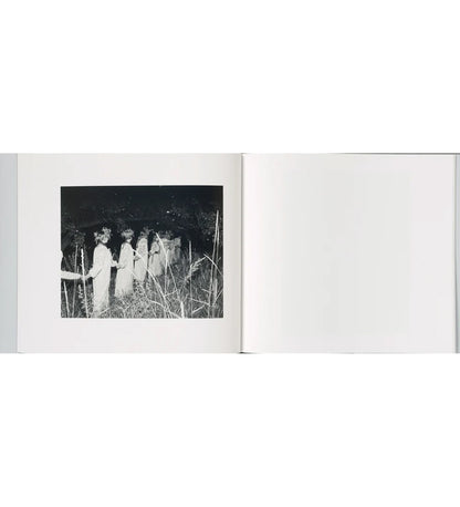 Aria Shahrokhshahi: Wet Ground (signed)