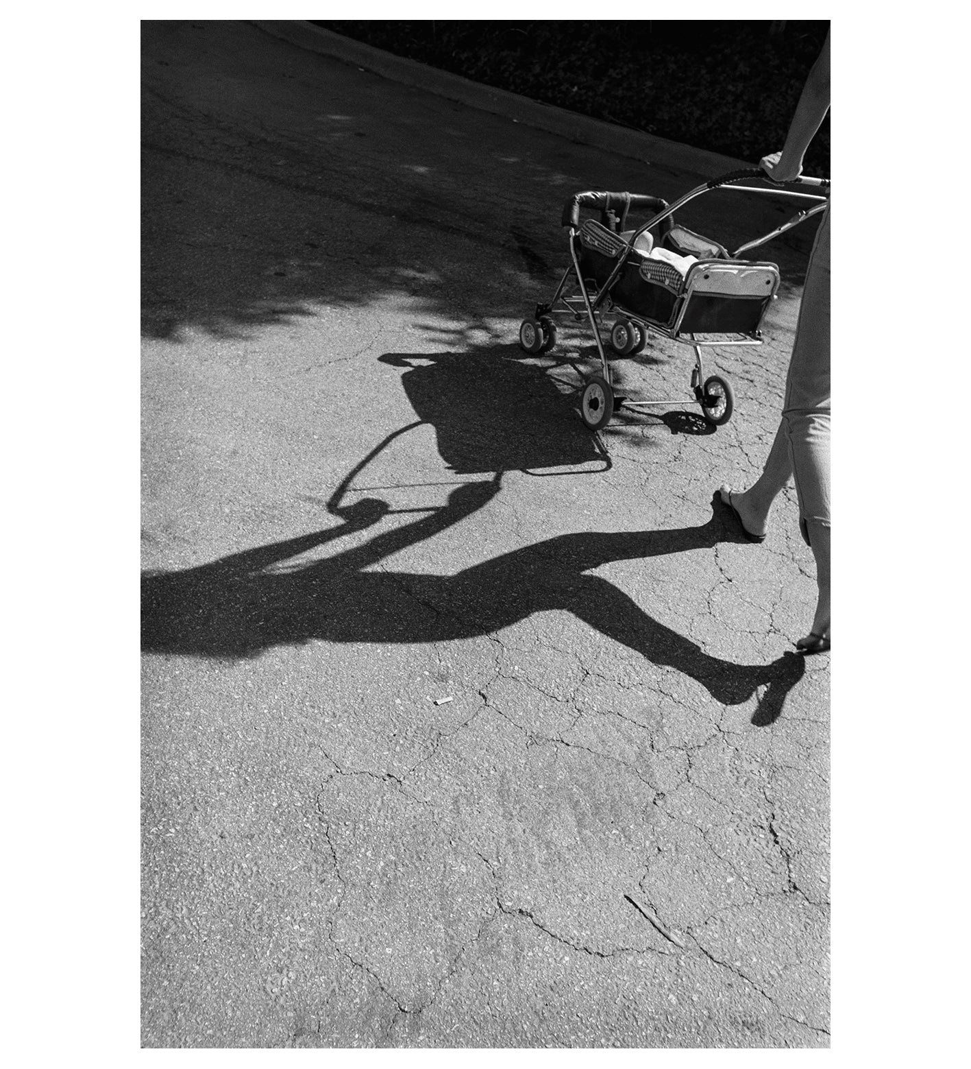 Graciela Iturbide: White Fence (Boxset with 2 Volumes)