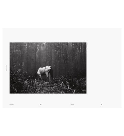 Beyond the Binary: Santu Mofokeng and David Goldblatt
