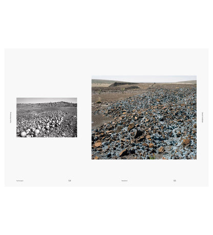 Beyond the Binary: Santu Mofokeng and David Goldblatt
