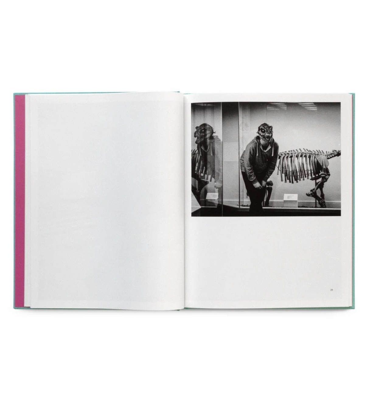 Allen-Storey, Carol: Defying the Myth (Pre-order signed copies)