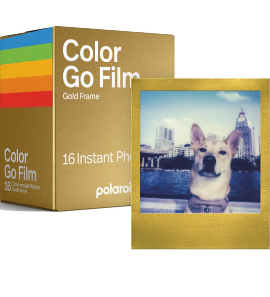 Polaroid Go Color Instant Film Double Pack, Gold Frame