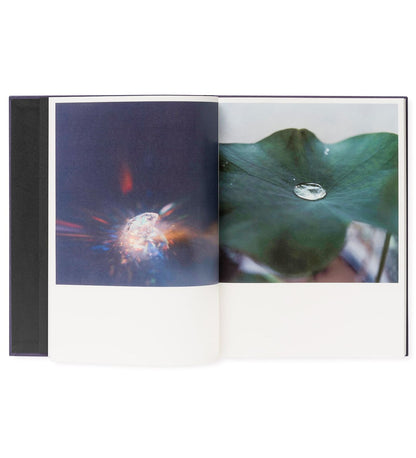 Rinko Kawauchi: Illuminance (Signed in-store)