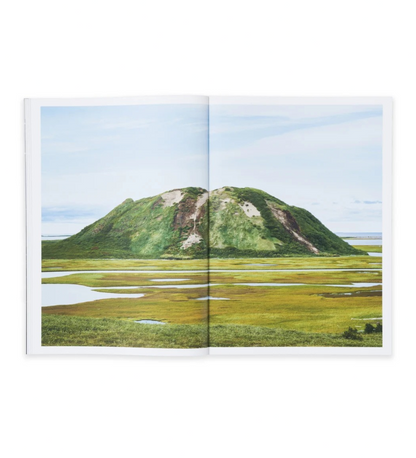 Eberhard, Roger: Meanwhile (Pre-order signed copies)