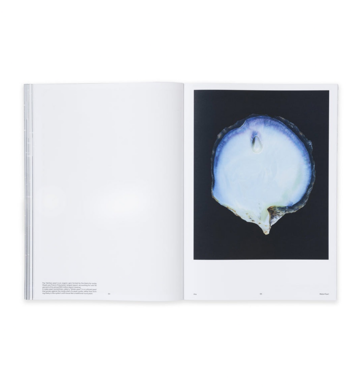 Eberhard, Roger: Meanwhile (Pre-order signed copies)