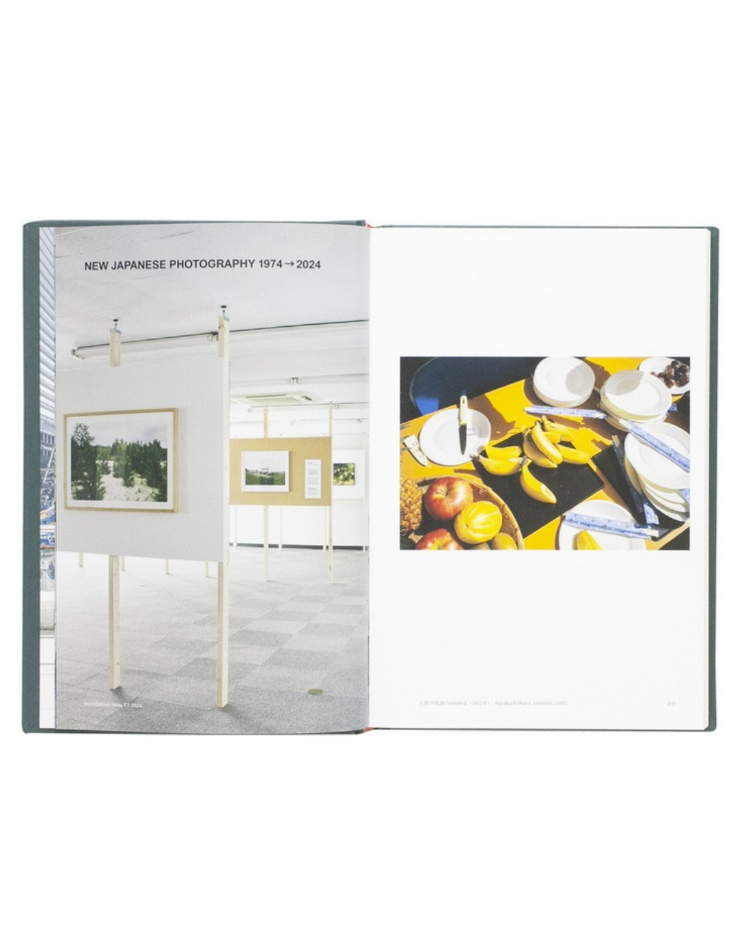 More Than One World – New Japanese Photography 50 Years On