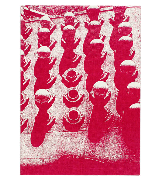 Daido Moriyama: Naomi (Signed)