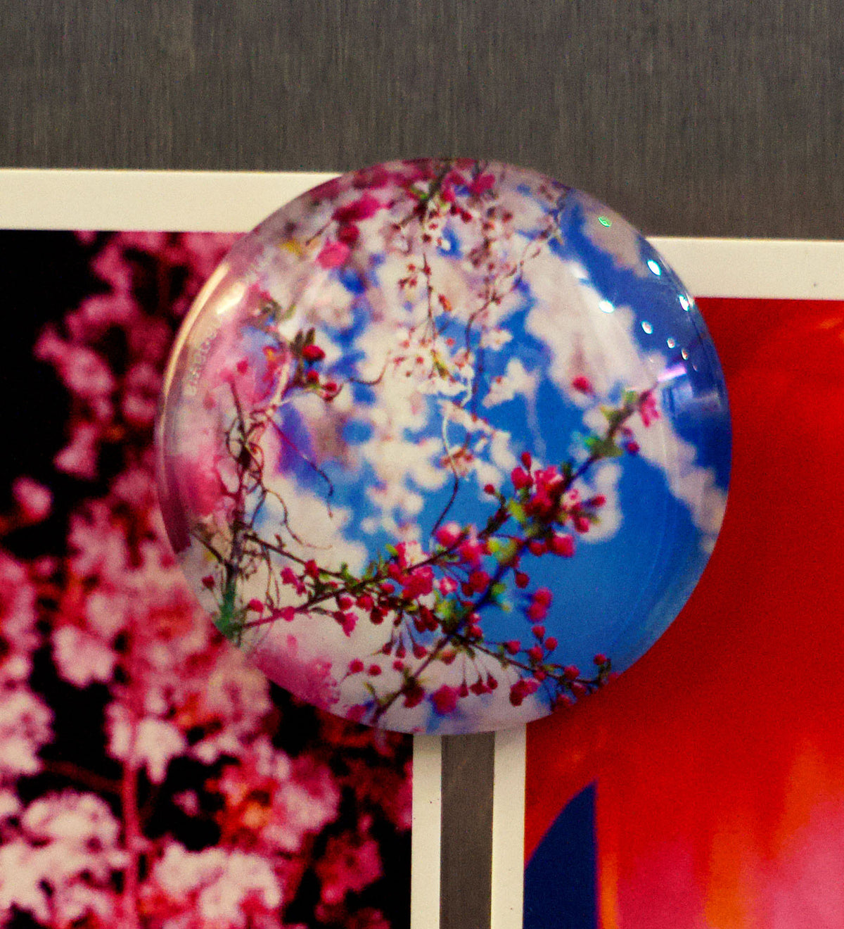 Mika Ninagawa Fridge Magnet (Blossom)